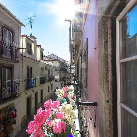Bairro Alto Vintage By Homing *